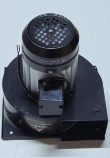 paskara motoru
